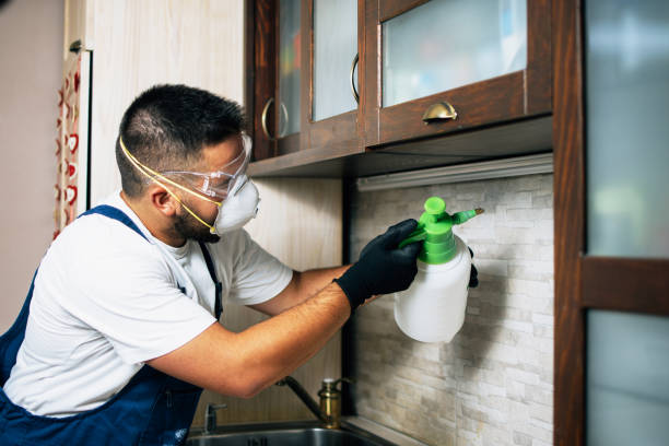 Best Bed Bug Extermination  in Ramblewood, NJ