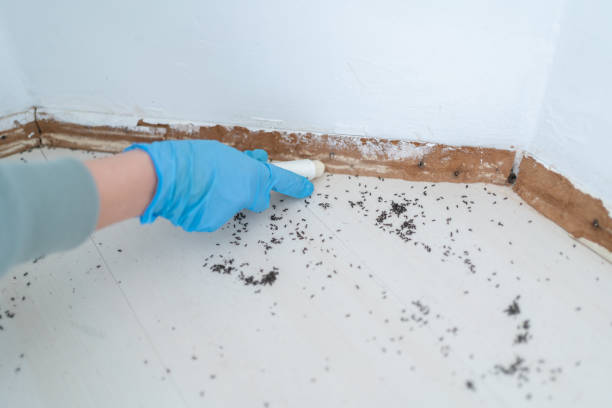 Best Pest Prevention Services  in Ramblewood, NJ
